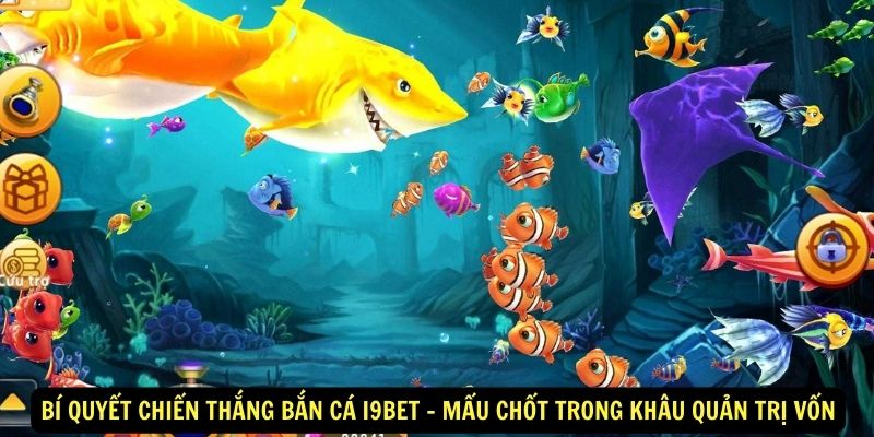 Bí Quyết Chiến Thắng Bắn Cá i9bet - Mấu chốt trong khâu quản trị vốn