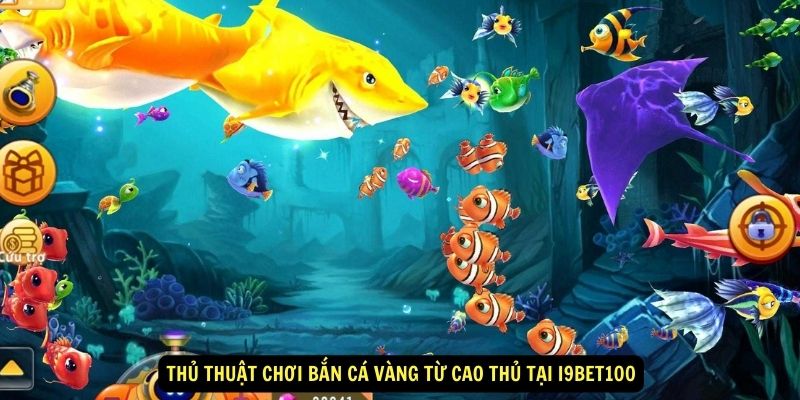 Thủ thuật chơi Bắn cá vàng từ cao thủ tại i9bet100