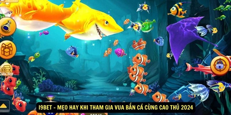 i9Bet-Meo-hay-khi-tham-gia-Vua-ban-ca-cung-cao-thu-2024